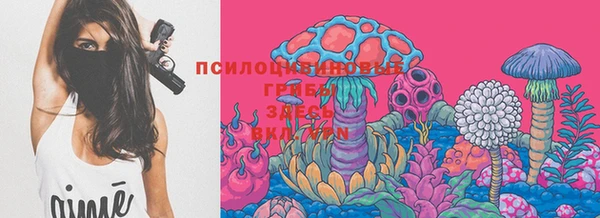 хмурый Беломорск